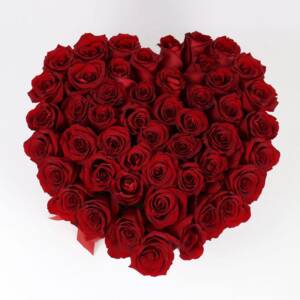 Andes Heart