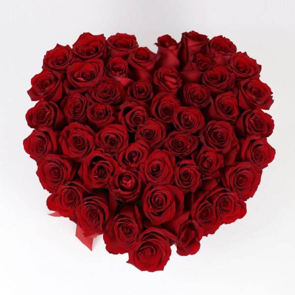 Andes Heart