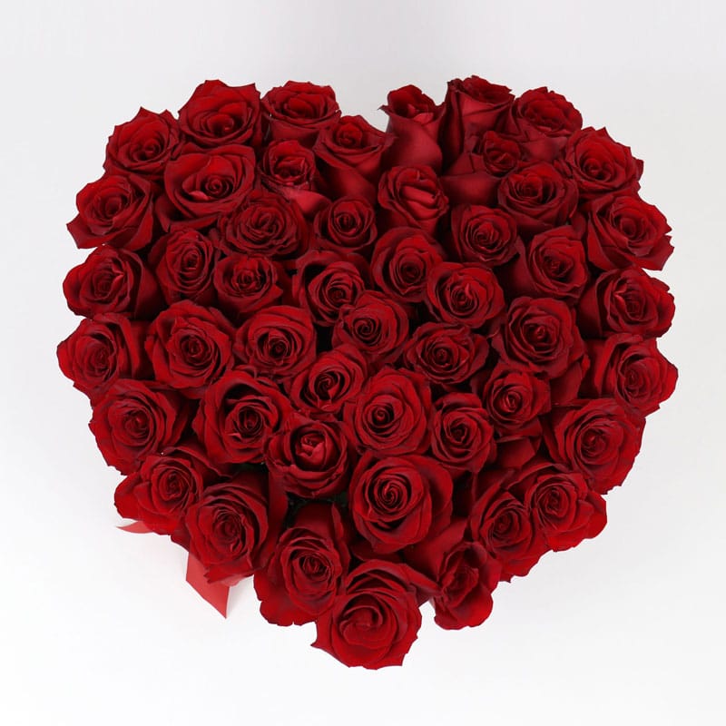Andes Heart