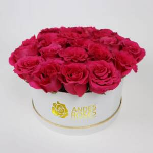 Beauty Roses