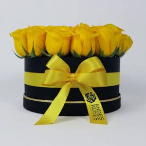 Brighten Box