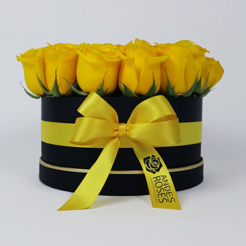 Brighten Box