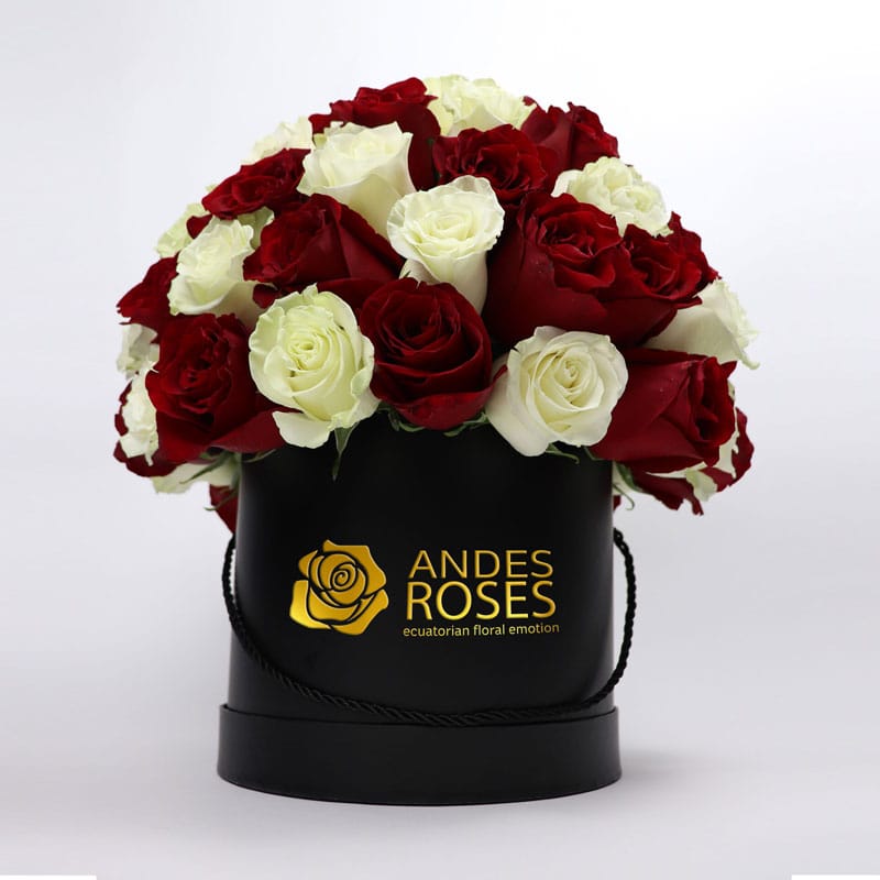 Romance Mix