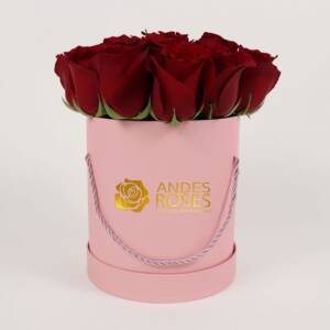 Belle Roses