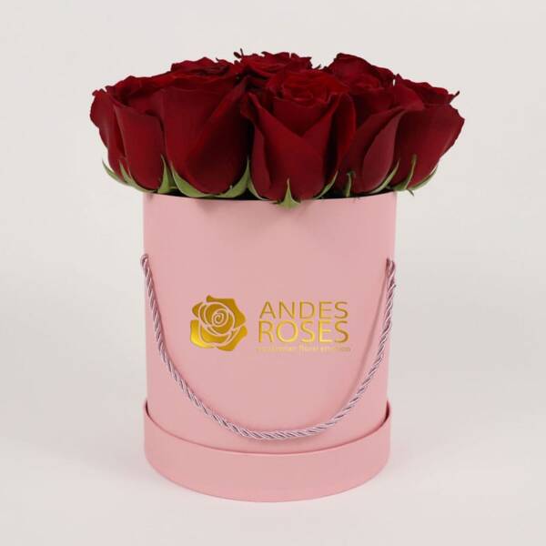 Belle Roses