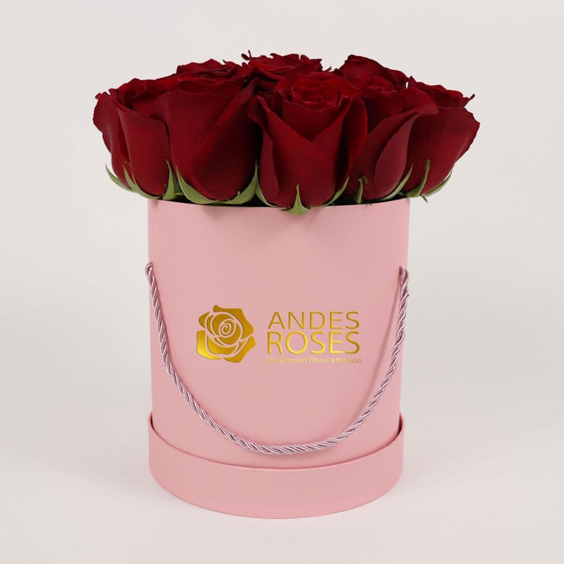Belle Roses